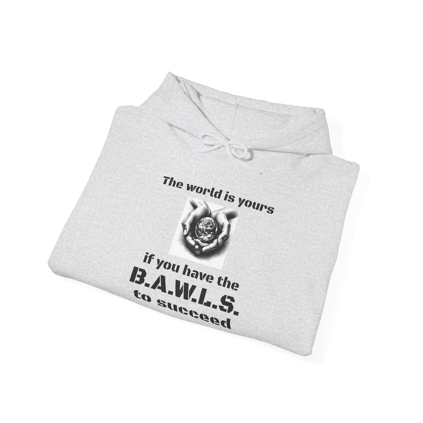 Motivational Hooded Sweatshirt - "The World is Yours" B.A.W.L.S. Message